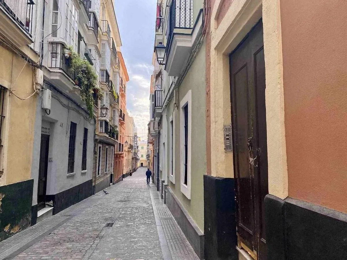 Anticuario En El Teatro Falla Cadiz